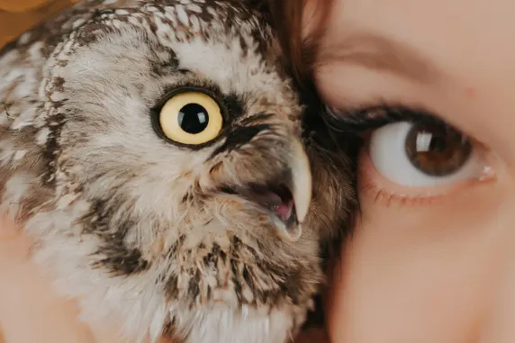 VegasWild Casino Assistance